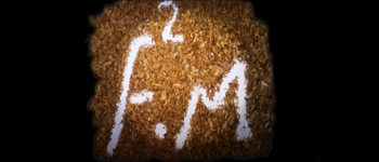video editing students work