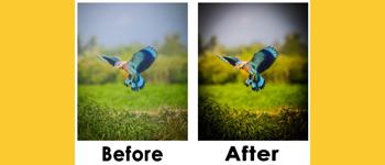 Imagic student work in lightroom